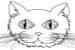 Cat Kitten Drawing Раскраска, шаблон для лица кота, угол, белый, ребенок  png | PNGWing